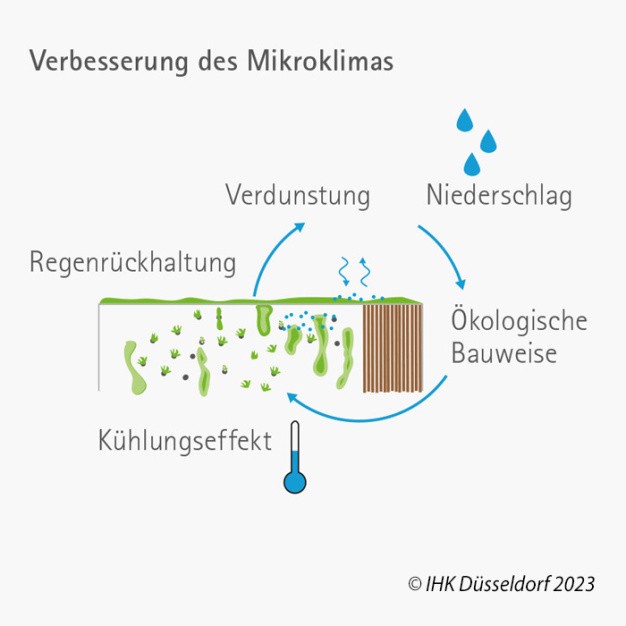 Mikroklima.jpg
