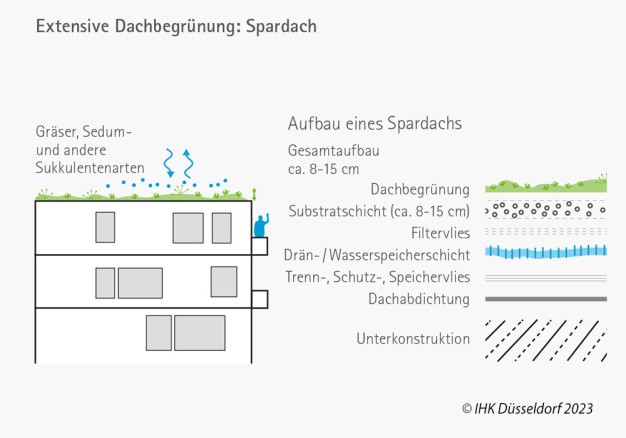 Spardach.jpg